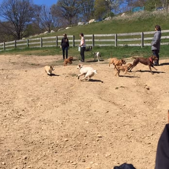 Church Hill Dog Park